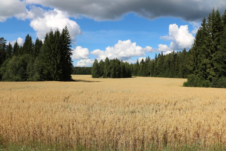 Pohjanmaan Kokoomus: Hallituksen pidettävä kiinni, että viljelijätuet säilyvät ennallaan